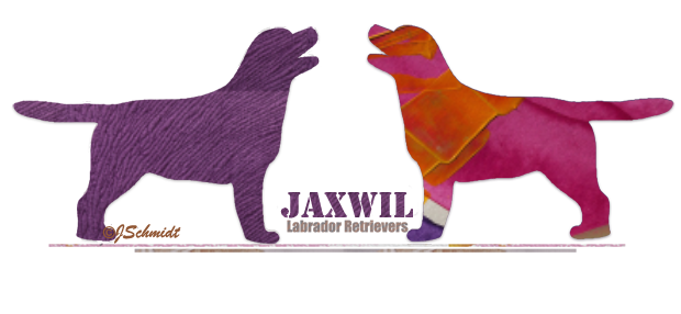 JaxwiL